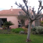 villa t6 espira de l'agly, jardin arbore, sud patrimoine